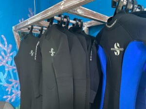 Wetsuit